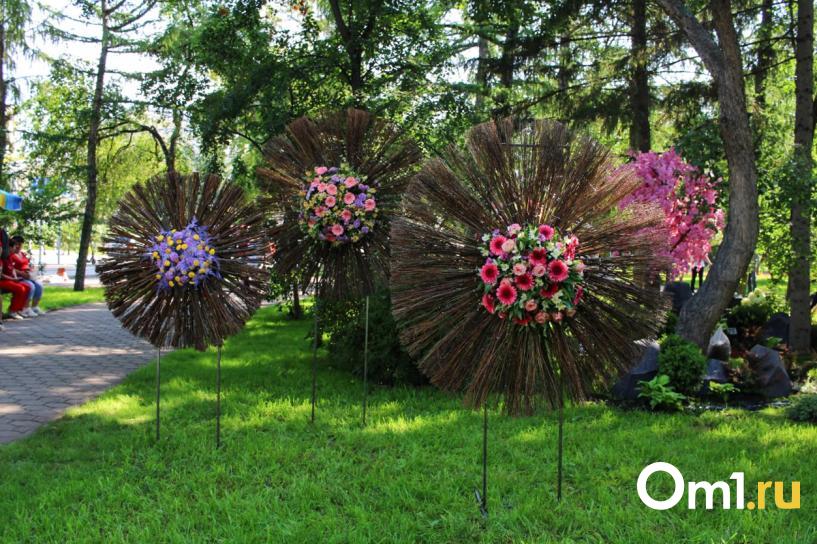 Изображение фоторепортажа