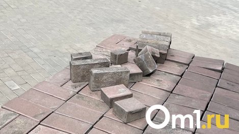 Житель Омской области убил пенсионерку кирпичом
