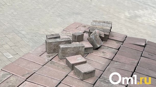Житель Омской области убил пенсионерку кирпичом