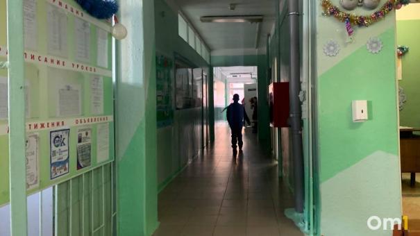 Омичка отсудила 300 тысяч рублей за драку сына в школе