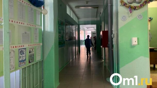 Омичка отсудила 300 тысяч рублей за драку сына в школе