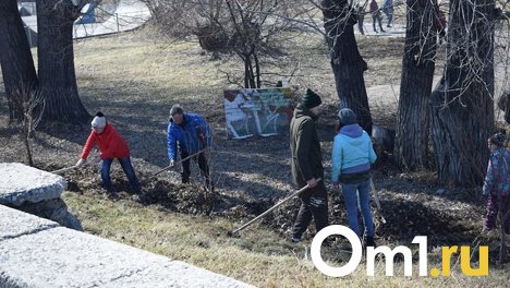 Врио губернатора Омской области Хоценко остался недоволен мусором, оставленным после субботников