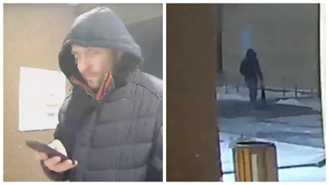 Взял за лапы и кинул: новосибирец сбросил таксу с 17 этажа. ВИДЕО