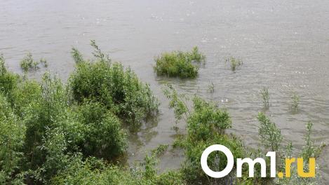 В Омске назвали 40 мест в Советском округе, подверженных риску подтопления