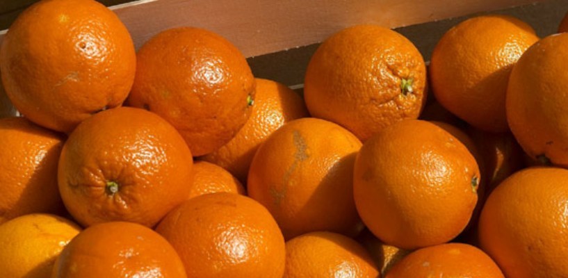 За два месяца до Нового года в Омске сильно подорожали апельсины