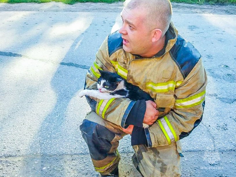 Изображение фоторепортажа