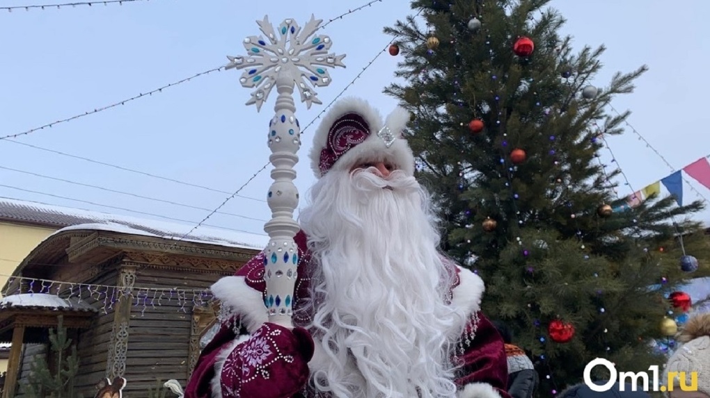 Омский Роспотребнадзор рассказал, будут ли в Омске запрещать вызов Деда Мороза на дом