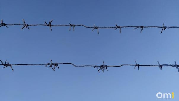 Житель Новосибирской области угрожал ножом многодетной матери и пытался зарезать её ребёнка