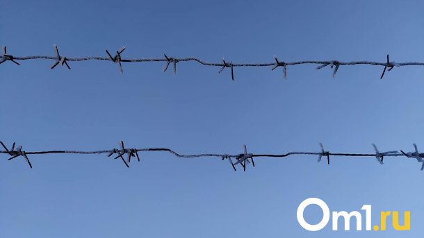 Житель Новосибирской области угрожал ножом многодетной матери и пытался зарезать её ребёнка