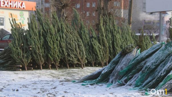 36 ёлочных базаров заработали в Новосибирске. АДРЕСА