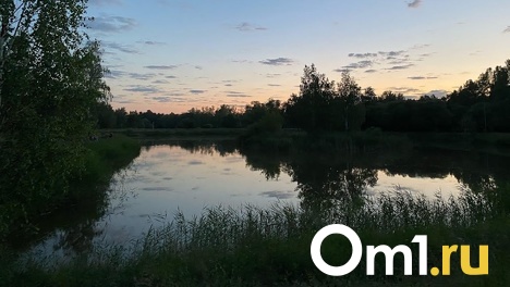 Рыбака, который пропал в Омской области две недели назад, нашли мёртвым
