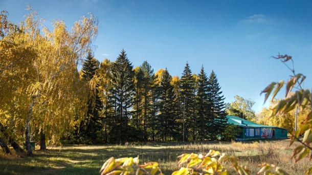 Строительная компания пытается забрать у мэрии землю спортивной базы на Берёзовой