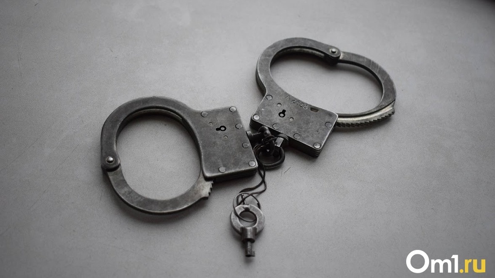 Новосибирского застройщика заключили под стражу за мошенничество на 13 млн рублей