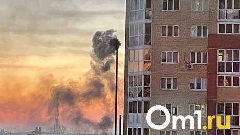 Омичи дышали вредными примесями половину февраля
