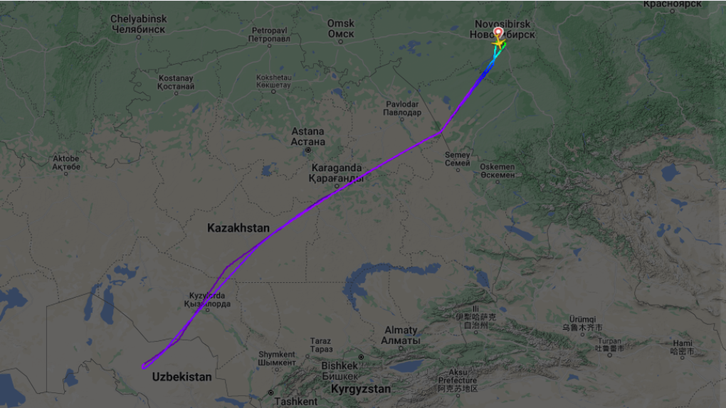 Самолёт, вылетевший из Новосибирска в Дубай, вернулся в Новосибирск