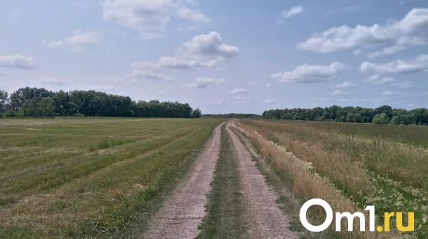 Без компенсации убытков: у омского фермера забрали землю под Северный обход