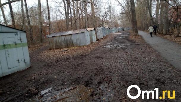 «Детей в школу водим с фонариками». Омичи пожаловались на темноту и гаражи