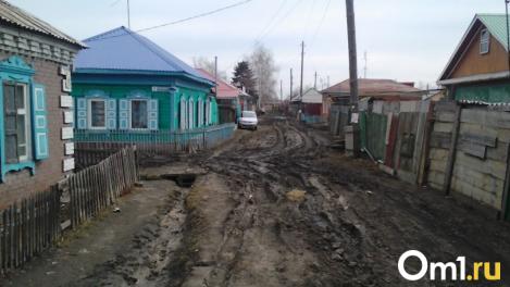 «Хотя бы попытаться сделать цивилизованным»: омичка о частном секторе, из-за которого задыхается город