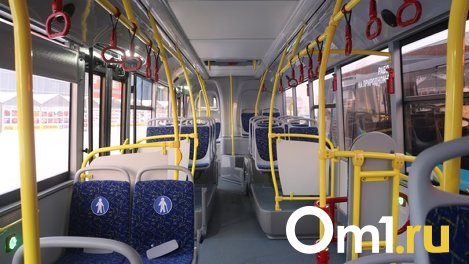 В Омске запустили большие автобусы на Левобережье и добавили транспорта в Амур-2