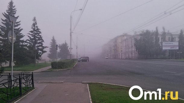 Ночью омичи будут дышать вредными примесями