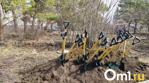 Омичи вышли на городской субботник: как это было?