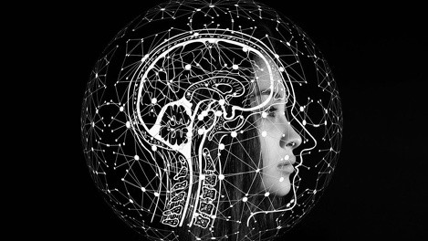 Мозг человека способен работать после смерти? Заявление учёных