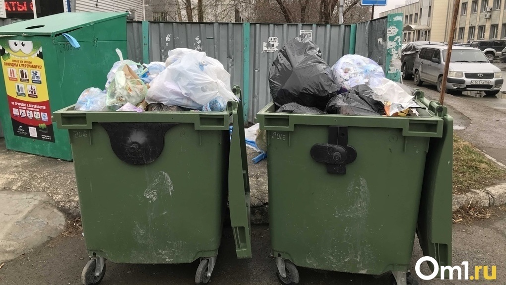 В Омске за купленными на зоне за 7 миллионов мусорными баками будут следить по видеокамерам