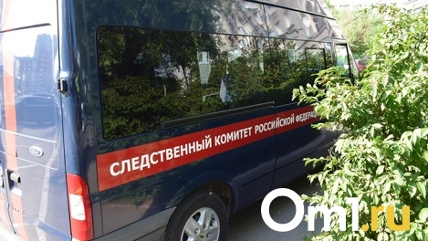 Следователи начали проверку после сообщений о домогательствах к 14-летней девушке в Новосибирске