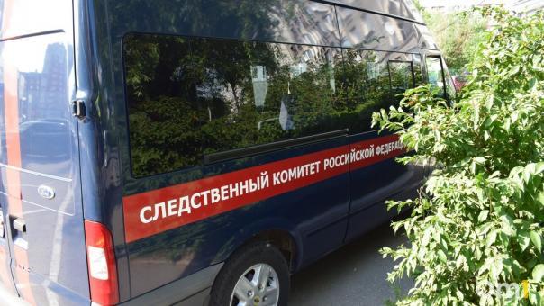 Следователи начали проверку после сообщений о домогательствах к 14-летней девушке в Новосибирске