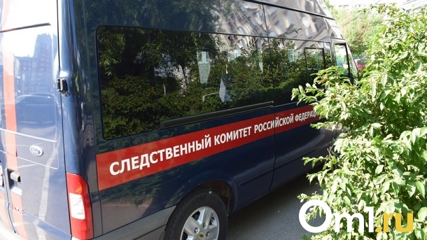 Следователи начали проверку после сообщений о домогательствах к 14-летней девушке в Новосибирске