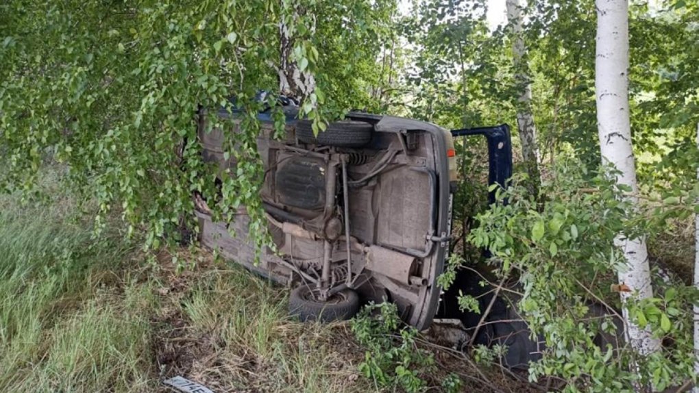 В Омской области двое мужчин насмерть влетели в дерево