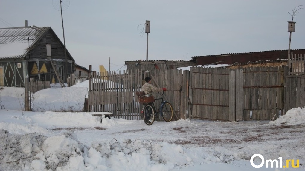 «Живем среди леса, а на дрова копим». Жители Омской области обеспокоены ростом цен на твердое топливо