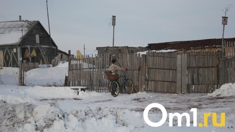 «Живем среди леса, а на дрова копим». Жители Омской области обеспокоены ростом цен на твердое топливо