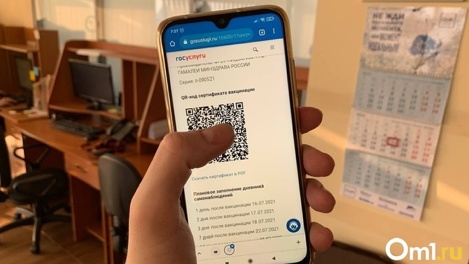 QR-коды отменяют в Новосибирской области. Власти назвали дату изменений