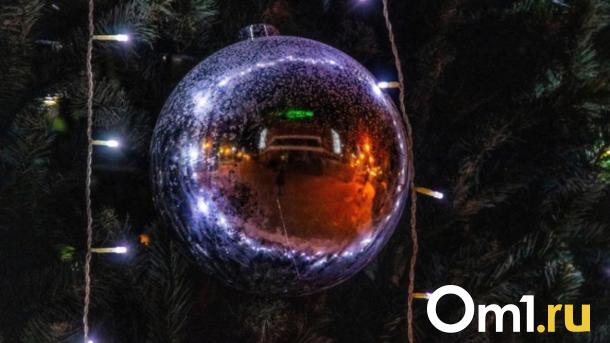 «ОТМОРОЗКИ», или Резиденция снежной бабы: как провести выходные в Новосибирске