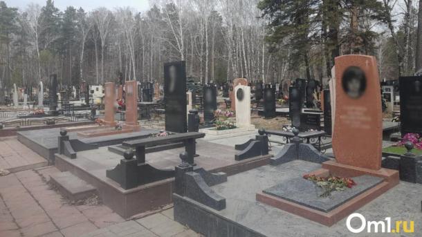 126 опасных деревьев на кладбище: в Новосибирске ищут подрядчика