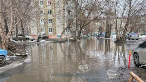 Край морей и озёр: весенний Омск глазами омичей