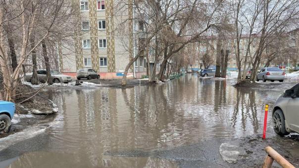 Край морей и озёр: весенний Омск глазами омичей