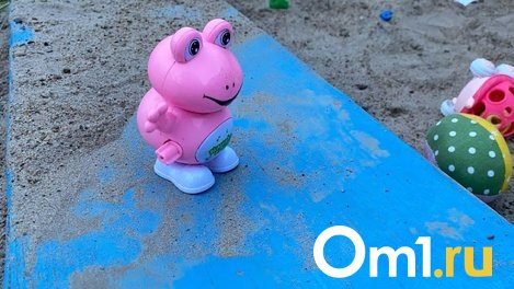 Ребёнка омички, которая хранила на балконе труп младенца, забрала к себе бабушка