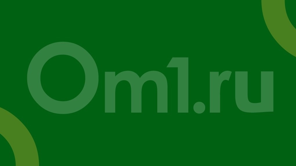 В горсовете раскритиковали состояние пешеходных мостов в Новосибирске