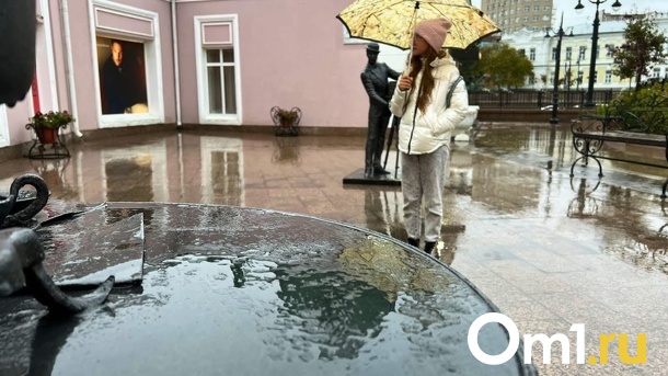 Синоптики предсказали Омской области циклонический вихрь с дождями и грозами