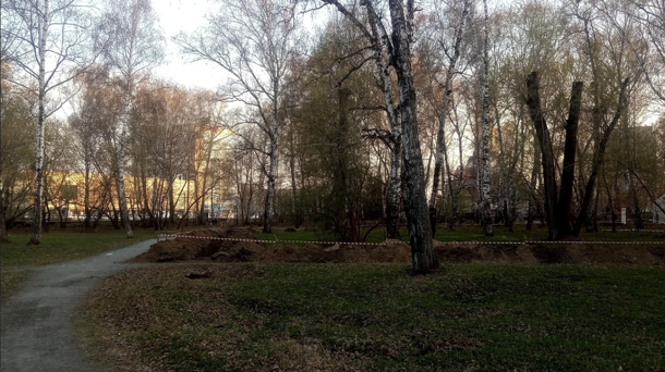 Сквер в Новосибирске назовут в честь героев Донбасса