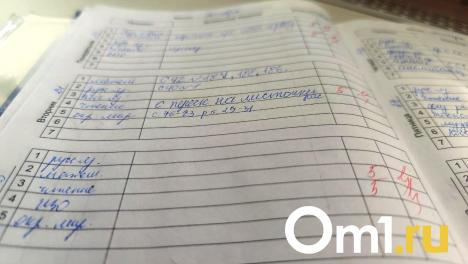 Скидка за оценку: «Пятёрочка» поощряет отличников и разыгрывает 2 миллиона рублей на благоустройство школ