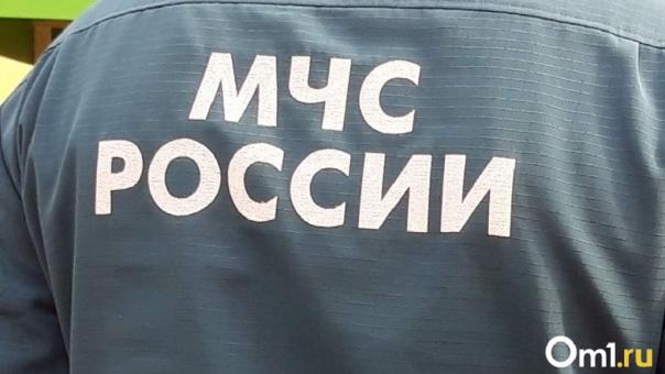 Поле вспыхнуло около приюта для животных и кладбища в Бердске