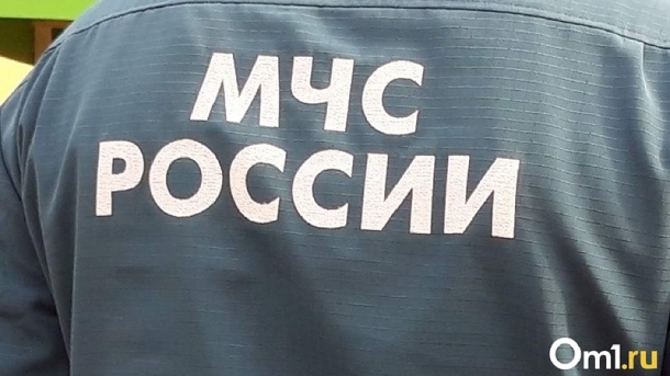 Поле вспыхнуло около приюта для животных и кладбища в Бердске
