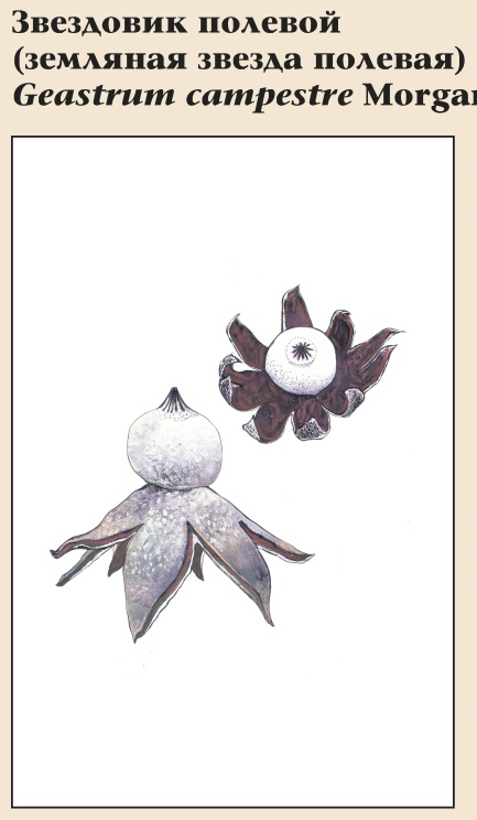 Изображение фоторепортажа