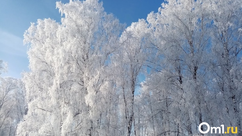 После экстремальных морозов в Омскую область придёт долгожданное потепление