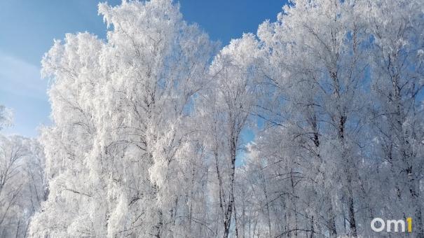 После экстремальных морозов в Омскую область придёт долгожданное потепление