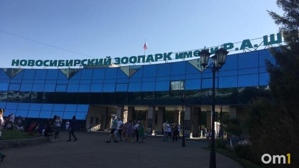 Комплекс «Азия» для японских макак строят в Новосибирском зоопарке