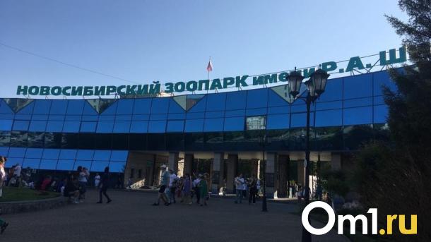 Комплекс «Азия» для японских макак строят в Новосибирском зоопарке
